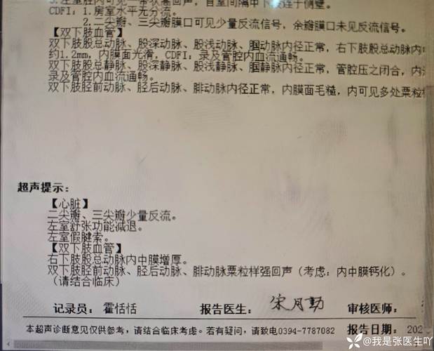 31省新增本土61例31省新增本土病例33+10