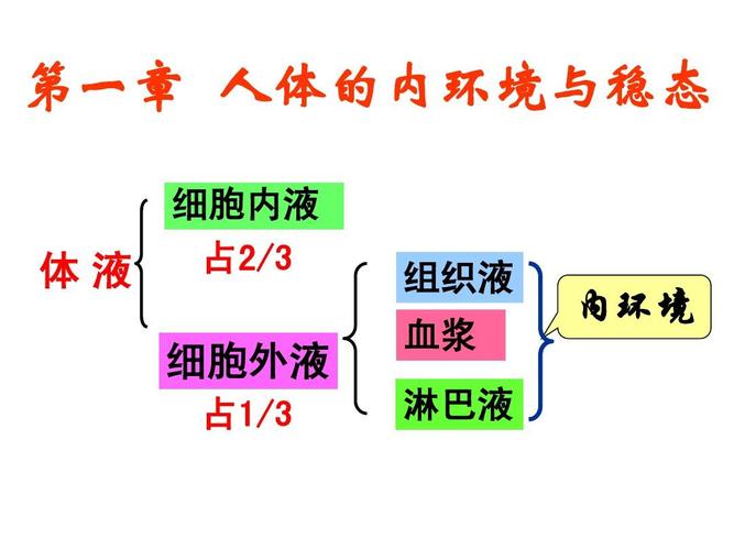 2026年吉林普通高中学业水平选择性考试生物试题及答案(Word版)吉林省高中学业水平考试生物试题