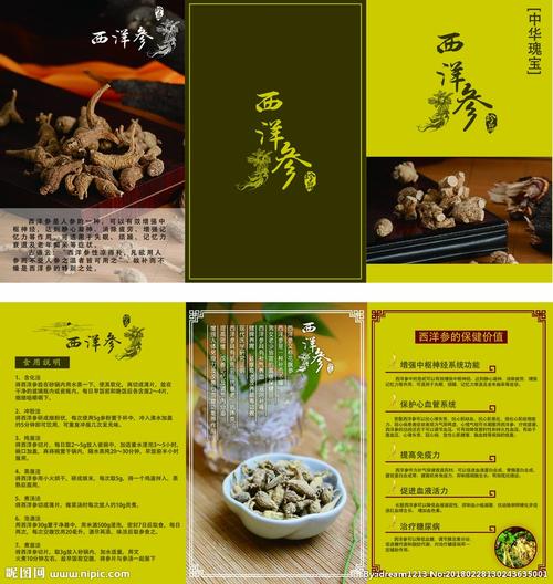 给大家普及下网站详细设计说明书学习教程免费下载网站说明书的详细说明