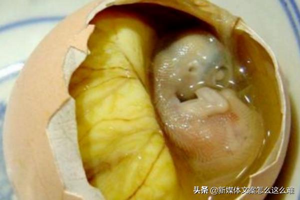 给大家普及下南京e美食学习教程免费下载南京美食网 给大家普及下南京e美食学习教程免费下载南京美食网