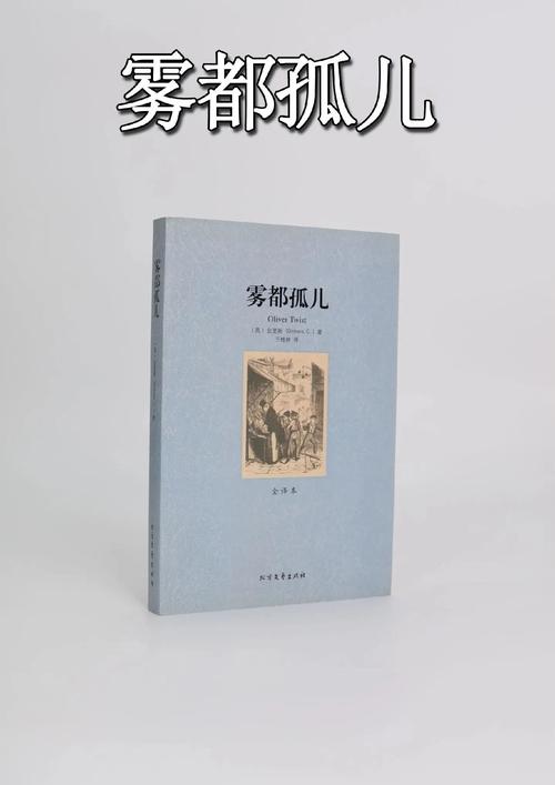 给大家普及下雾都孤儿论文学习教程免费下载雾都孤儿的感悟与收获