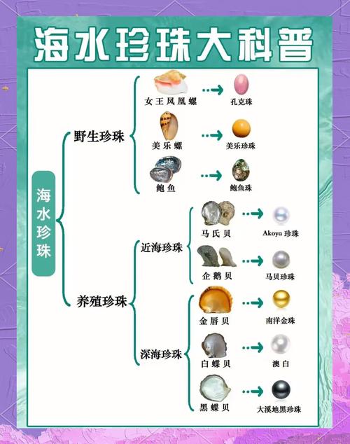 给大家普及下口袋妖怪珍珠图鉴学习教程免费下载口袋妖怪珍珠图鉴收集大全