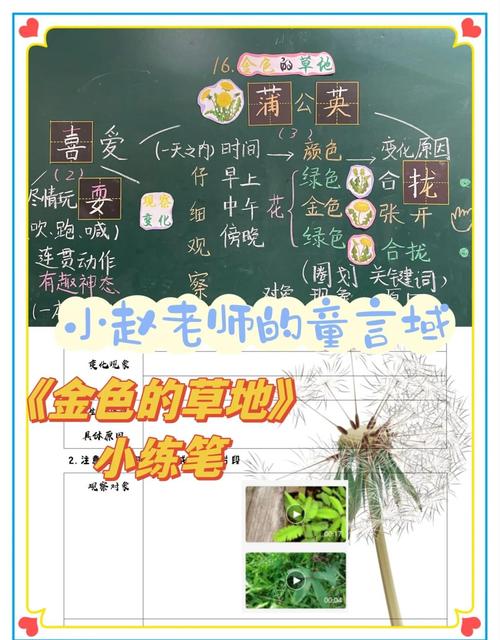 给大家普及下蒲公英教案学习教程免费下载蒲公英幼儿园