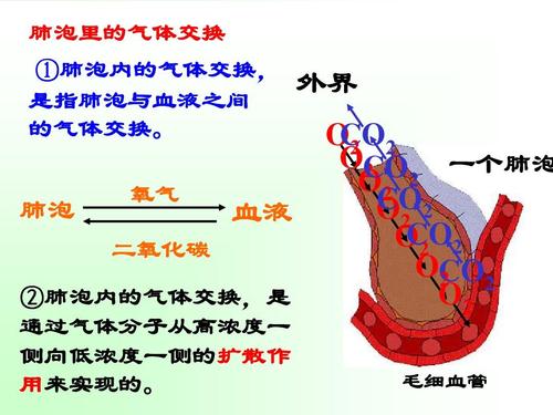 给大家普及下八下科学第四章学习教程免费下载八下科学第四章知识点