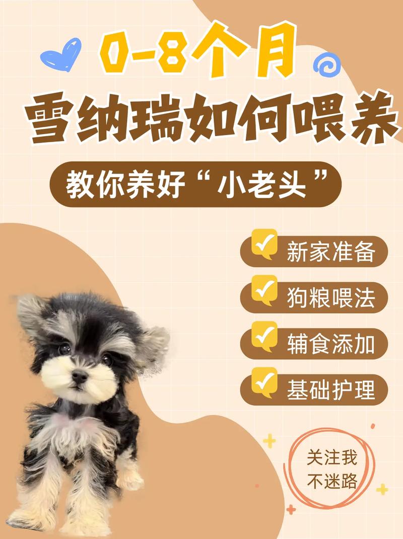 给大家普及下如何领养qq宠物学习教程免费下载QQ如何领养宠物