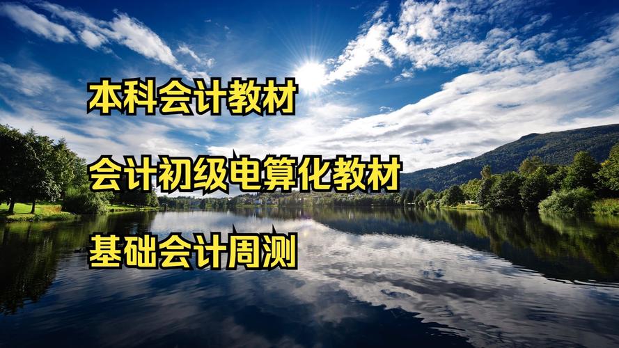 给大家普及下初级会计电算化考试试题学习教程免费下载初级会计电算化9成新