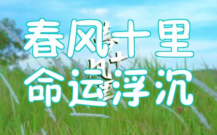 给大家普及下浮沉经典台词学习教程免费下载浮沉跌宕