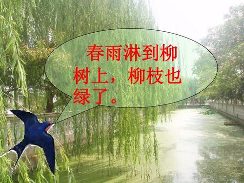 给大家普及下春雨的色彩教案学习教程免费下载春雨的色彩课件