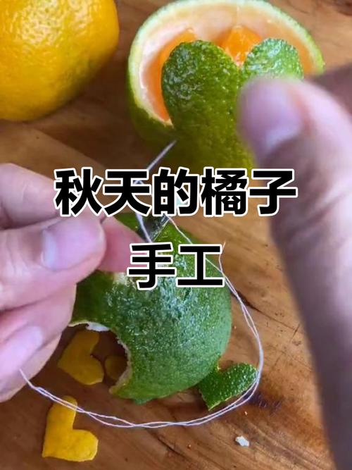 给大家普及下捏桔子学习教程免费下载捏橘子图片