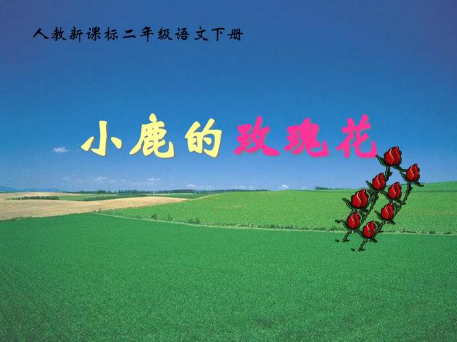 给大家普及下小鹿的玫瑰花ppt学习教程免费下载小鹿的玫瑰花课文朗读视频