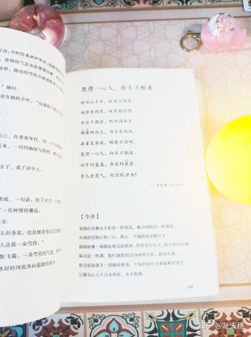给大家普及下全力以赴的人读后感学习教程免费下载全力以赴的人生感悟