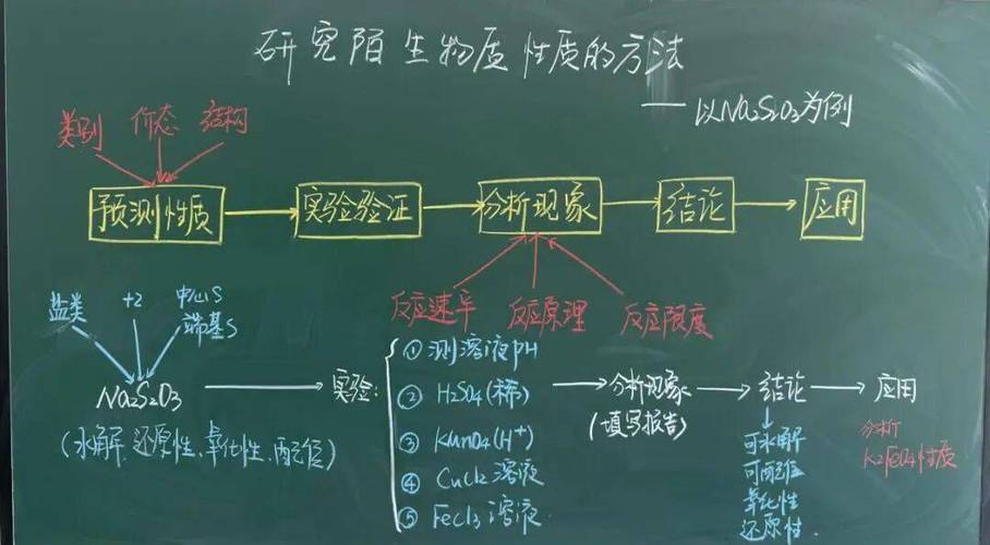 给大家普及下作为生物的社会教案学习教程免费下载作为生物的社会板书设计图
