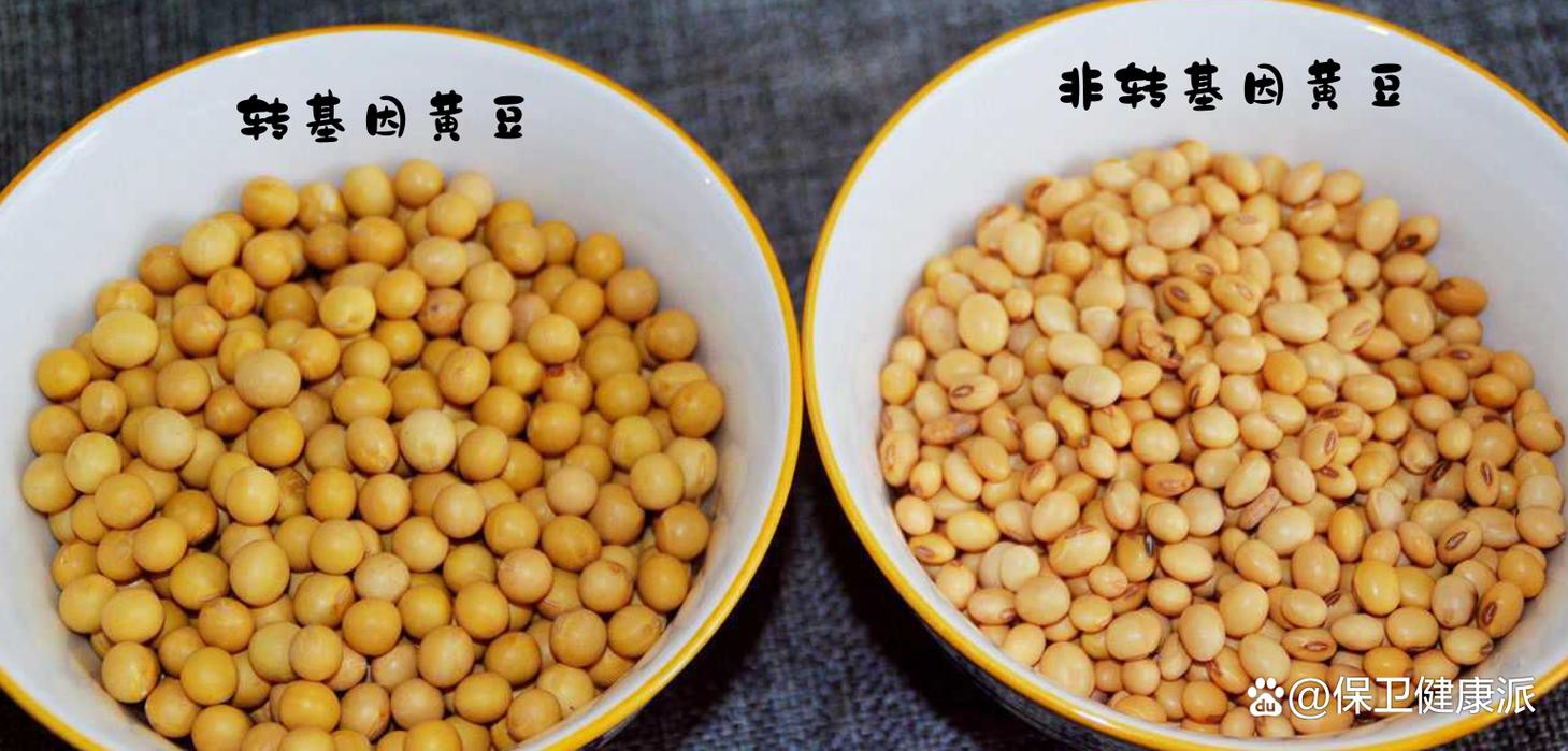给大家普及下送你一束转基因花学习教程免费下载怎样做转基因植物