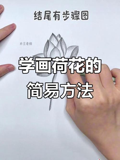 给大家普及下泉水荷花学习教程免费下载泉与荷花简笔画