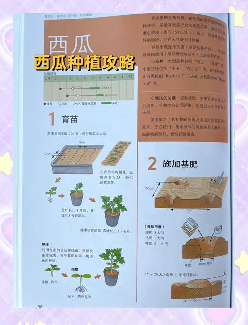 给大家普及下小型农业生态园设计学习教程免费下载咋做农业生态园