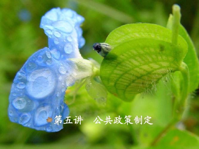 给大家普及下公共政策案例分析学习教程免费下载公共政策分析案例分析题及答案