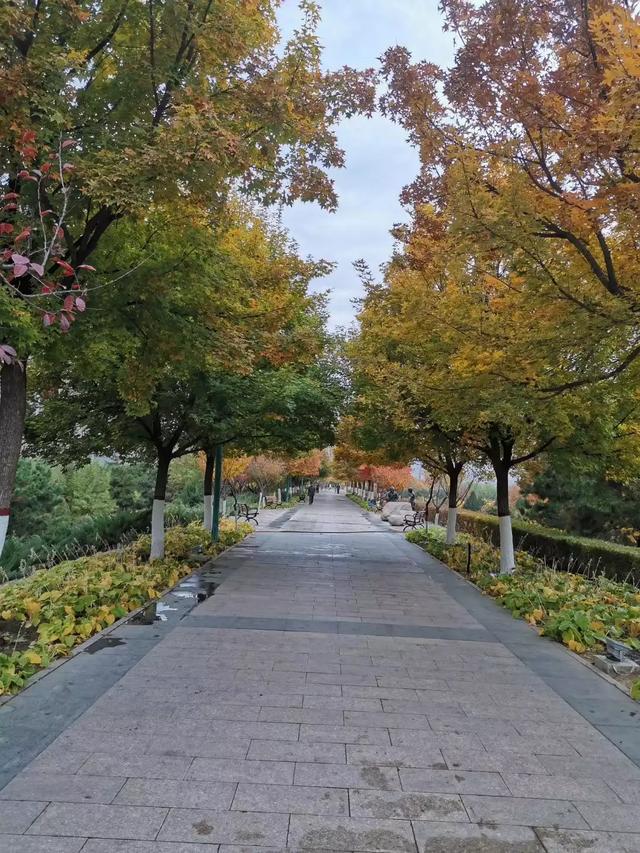 给大家普及下高一化学练习册答案学习教程免费下载高一化学人教版答案 给大家普及下高一化学练习册答案学习教程免费下载高一化学人教版答案