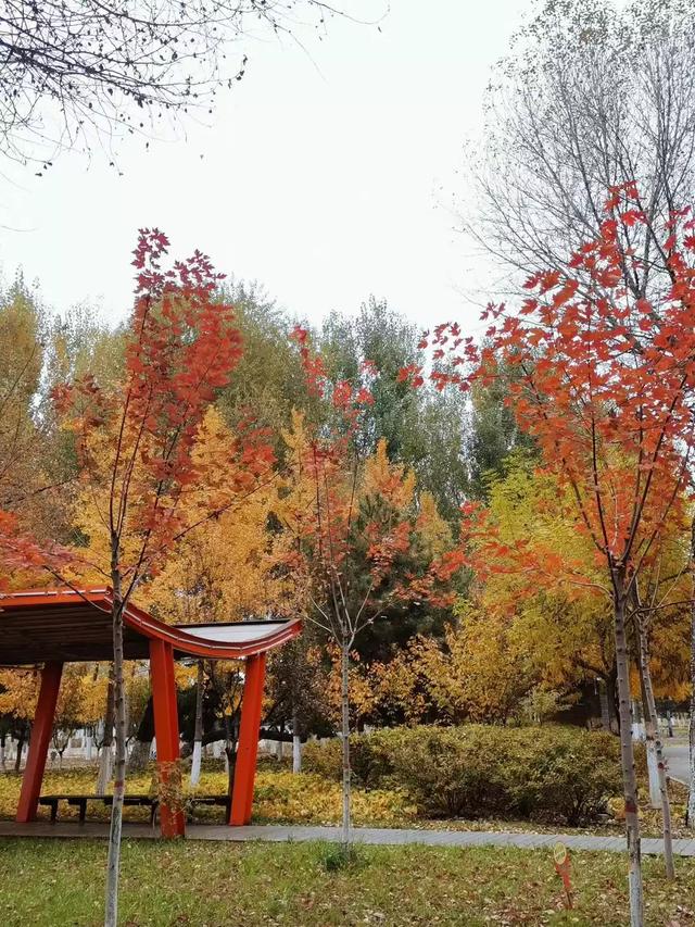 给大家普及下高一化学练习册答案学习教程免费下载高一化学人教版答案 给大家普及下高一化学练习册答案学习教程免费下载高一化学人教版答案