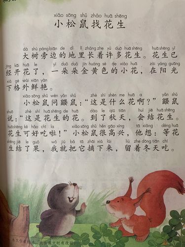 给大家普及下小松鼠找花生PPT学习教程免费下载小松鼠找花生课件ppt