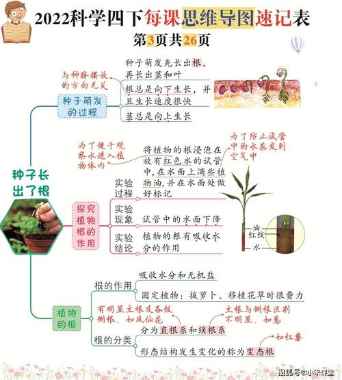 给大家普及下四年级科学试卷分析学习教程免费下载四年级科学期末试卷分析