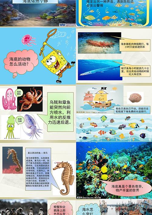 给大家普及下水中生活的动物ppt学习教程免费下载水下动物画简单又漂亮
