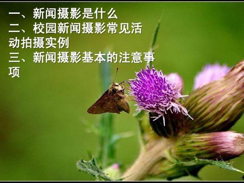 给大家普及下新闻二则学习教程免费下载新闻二则怎么写