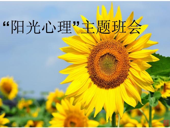 给大家普及下青少年心理健康ppt学习教程免费下载青少年心理健康ppt课件免费