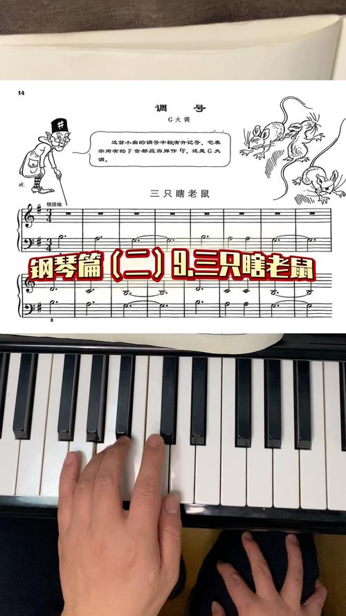 给大家普及下360导航钢琴曲谱学习教程免费下载360导航网