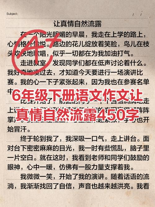 给大家普及下六年级下册作文大全学习教程免费下载6年级下册作文视频讲解版
