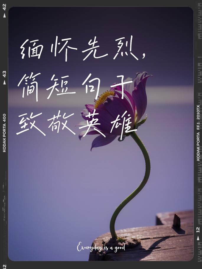 今天 致敬伟大胜利今天 致敬伟大胜利的句子