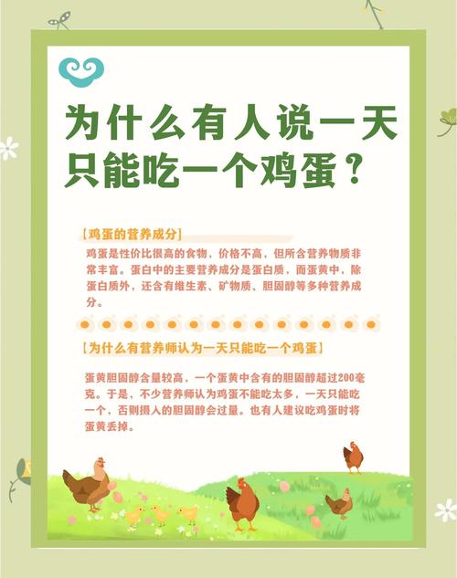 给大家普及下无公害鸡蛋标准学习教程免费下载无公害鸡蛋和普通鸡蛋有什么区别