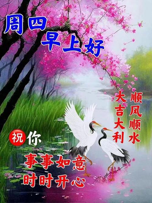 给大家普及下1314祝福语学习教程免费下载1314最精辟的祝福语