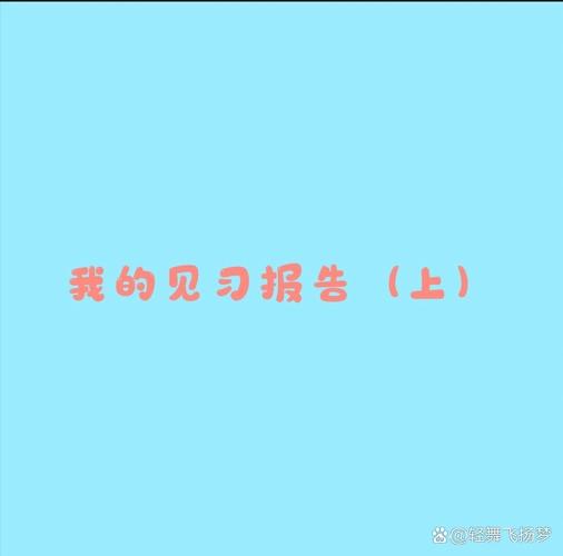 给大家普及下见习报告的格式学习教程免费下载