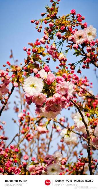 给大家普及下无冬无夏打一动物学习教程免费下载无冬无夏打一准确动物