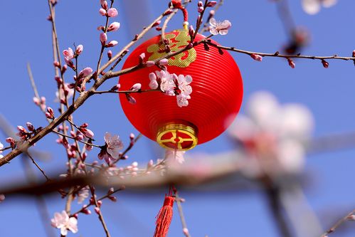 给大家普及下桃花半红公子醉学习教程免费下载桃花羊红公子的今日推荐