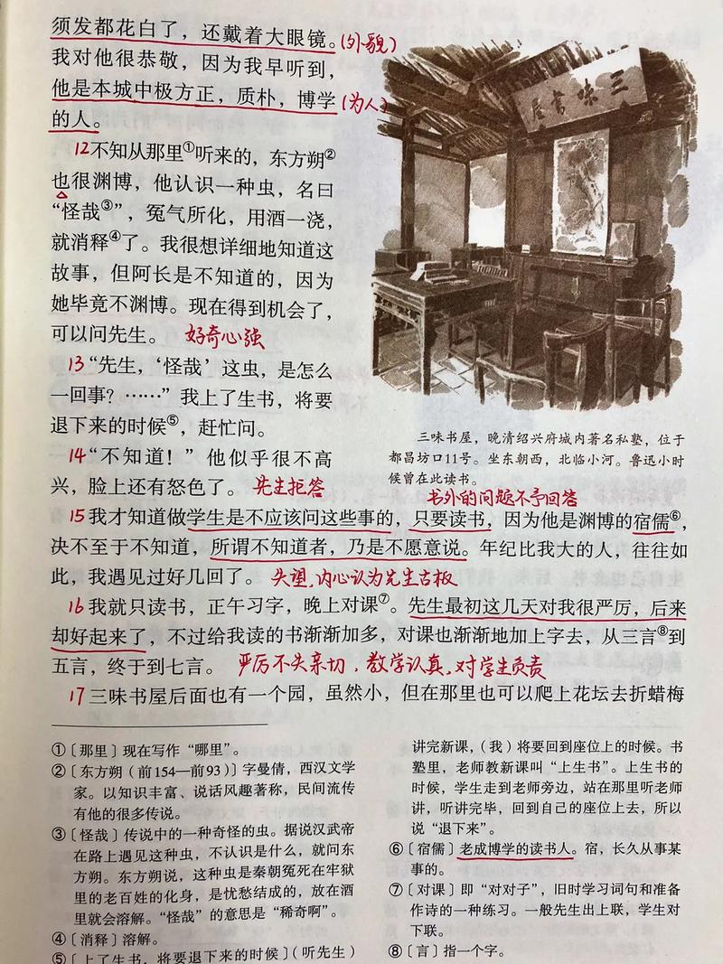 给大家普及下从百草园到三味书屋ppt学习教程免费下载从百草园到三味书屋PPT