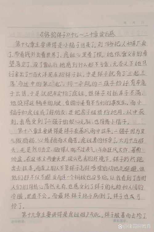 给大家普及下骆驼祥子读后感1500学习教程免费下载骆驼祥子读后感10篇