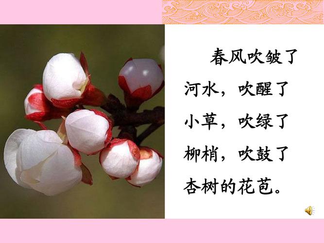 给大家普及下第一朵杏花教学设计学习教程免费下载第一朵杏花告诉我们什么道理