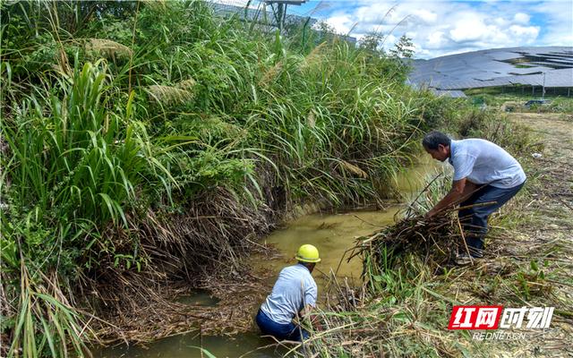 给大家普及下农田灌溉水质标准学习教程免费下载农田灌溉水质标准详解