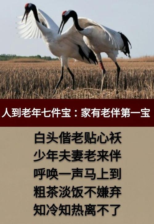 给大家普及下贱是一种态度学习教程免费下载下贱怎么解释