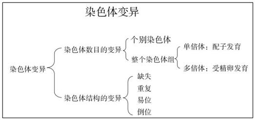 给大家普及下染色体变异ppt学习教程免费下载染色体变异优质课