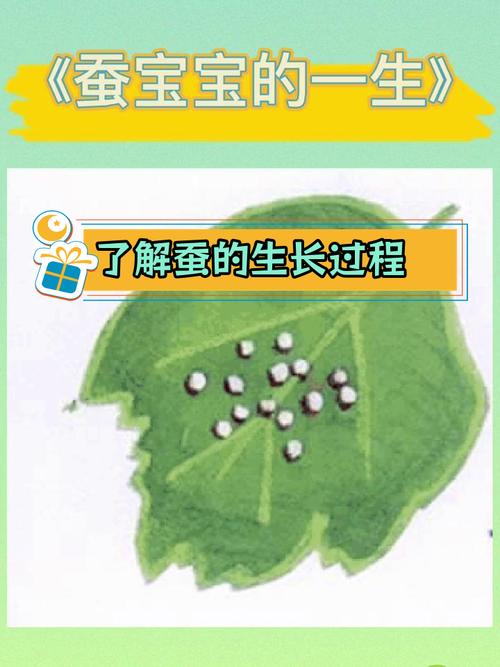 给大家普及下蚕卵里孵出的新生命学习教程免费下载蚕卵如何孵化