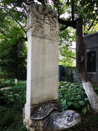 给大家普及下数字图像处理课件学习教程免费下载数字图像处理教学视频